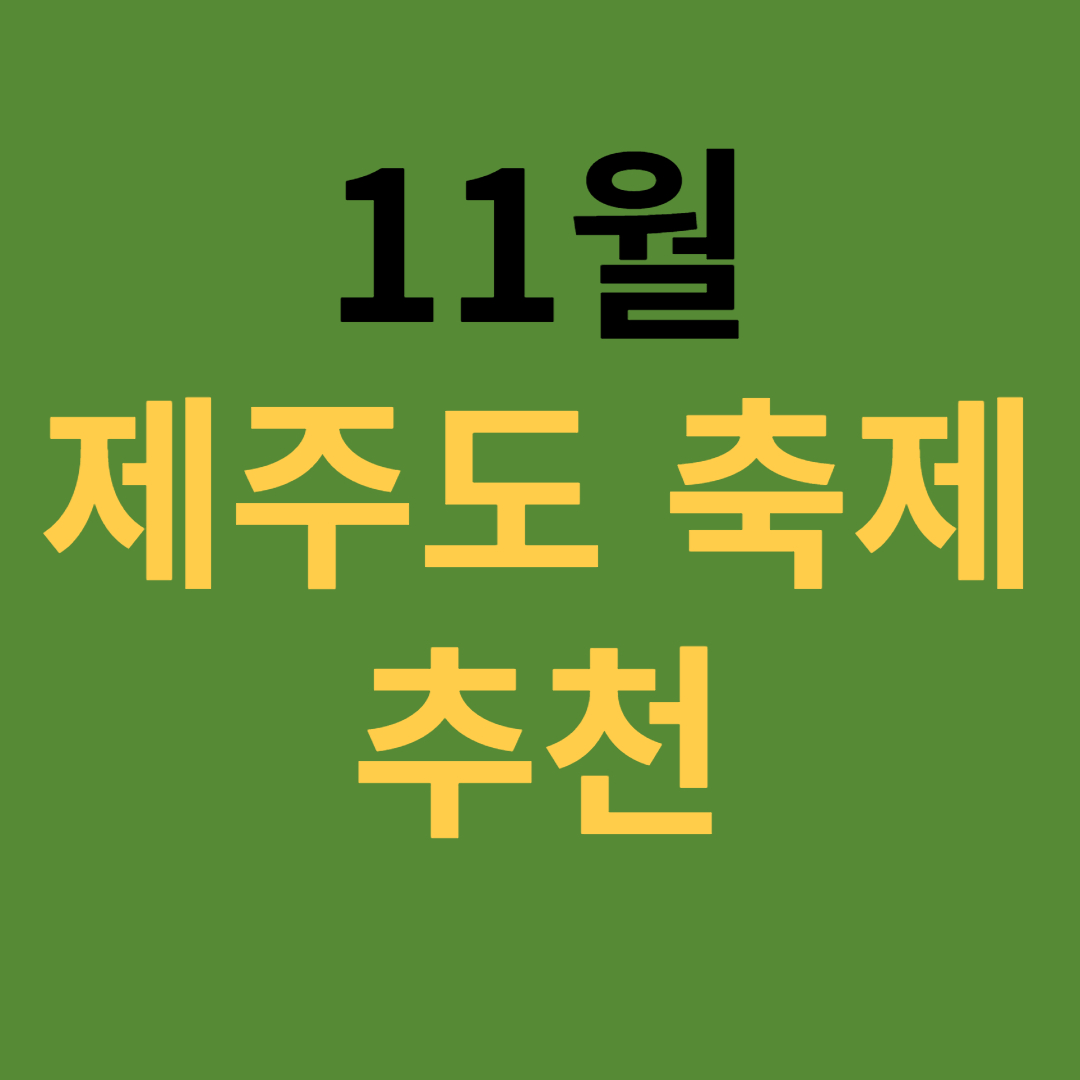 11월 제주도 축제