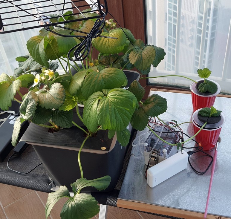 수경재배기 분무식 만들기 4