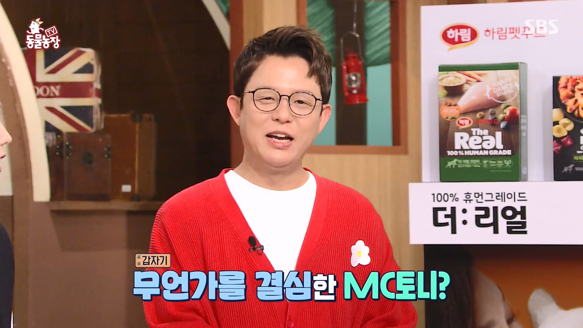 TV 동물농장.E1151.231224p-NEXT.mp4_20231224_154133.770.jpg