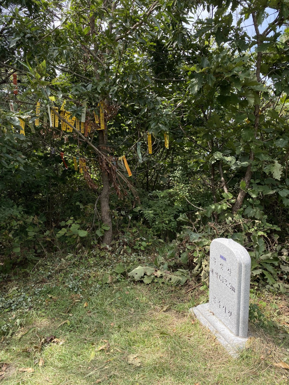 홍길동이 다녀간 12