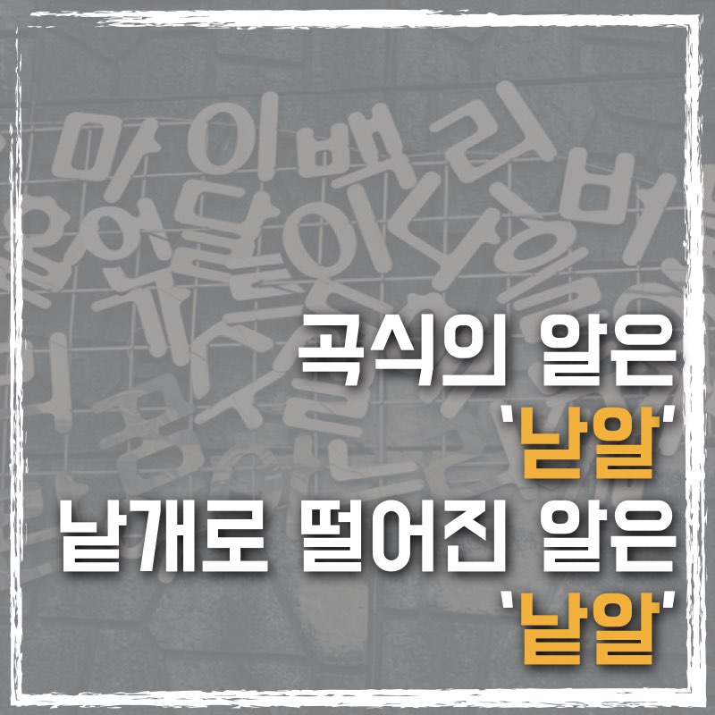 낟알과 낱알의 구분