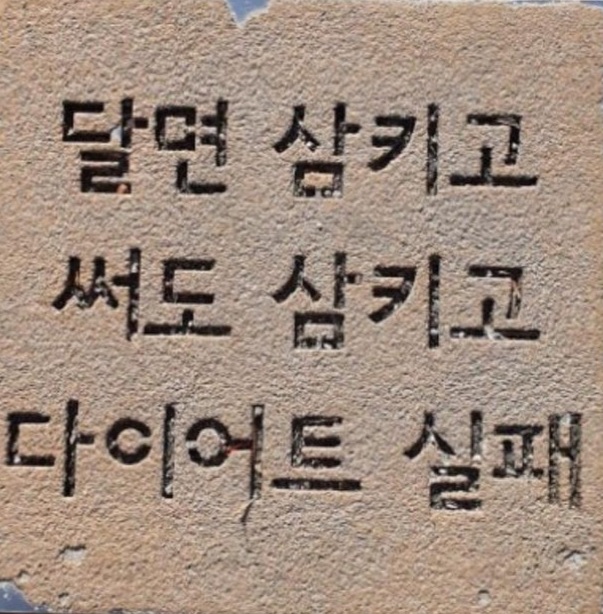 용인대학교24시 3