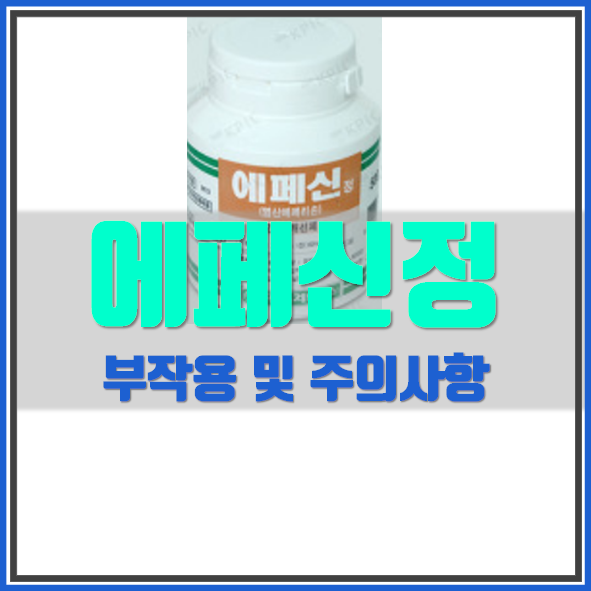  에페신정 효능 부작용 정보