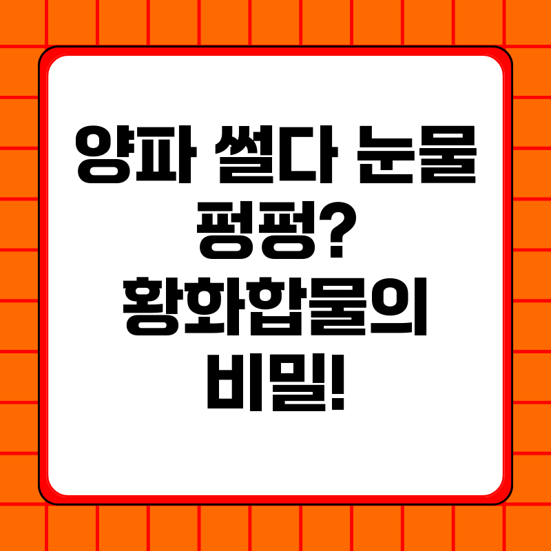 양파-썰다-눈물-펑펑-황화합물의-비밀