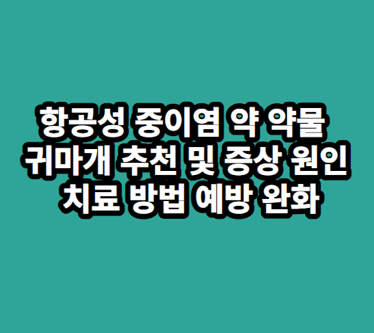 항공성중이염약,귀마개추천