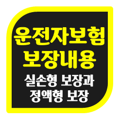  운전자보험보장내용, 실손 보상과 정액형 보장 및 가입 시 주의할 점과 가격 비교 요령 소개