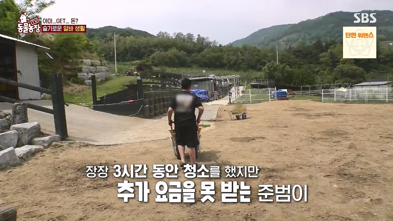 TV 동물농장.E1178.240630.ts_20240630_164642.514.jpg