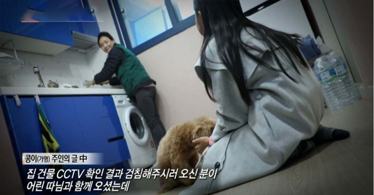  궁금한 이야기Y에 나온 검침원 강아지 사건의 전말