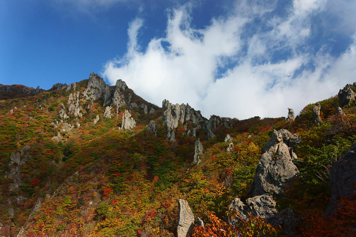 한라산-탐방로