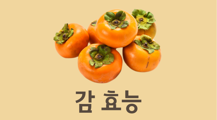  나만 모르는 감 효능