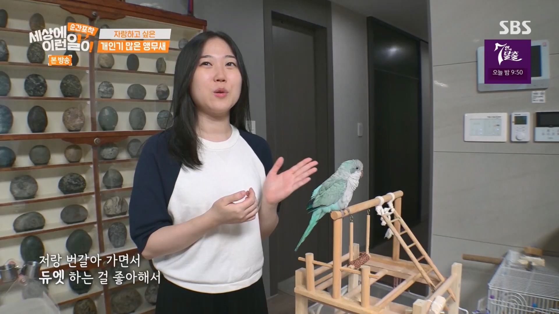 순간포착 세상에 이런일이.E1247.230923p.H264-F1RST.mp4_20230924_152647.920.jpg