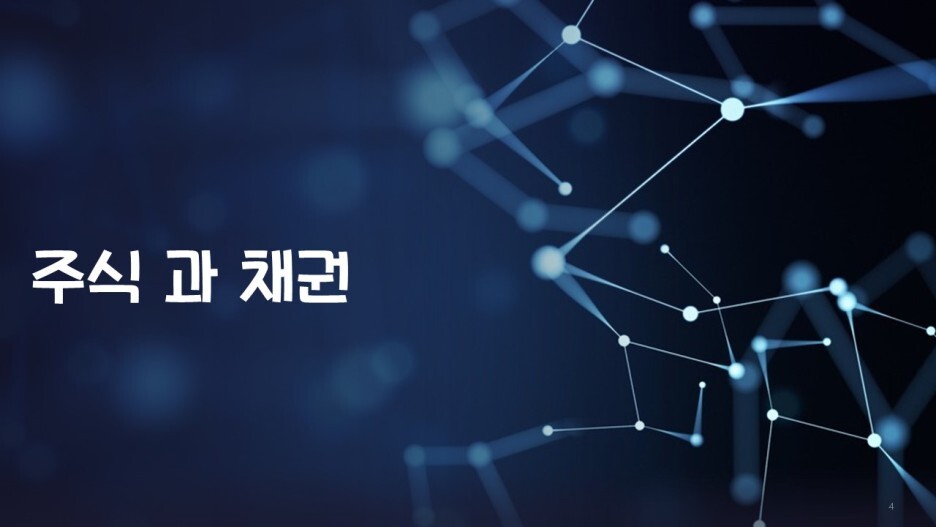  주식 과 채권