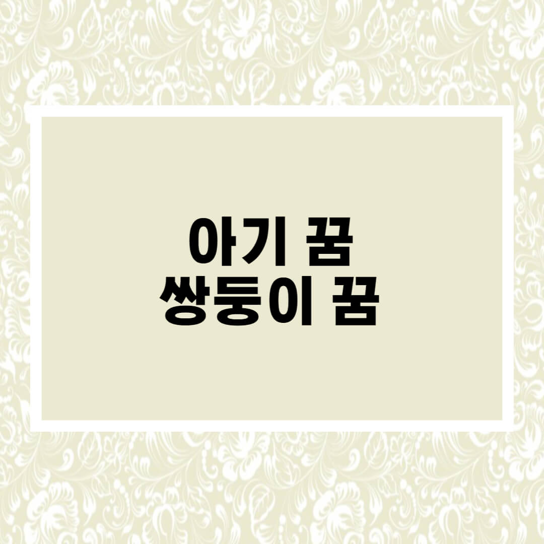  아기 꿈해몽 쌍둥이 꿈해몽