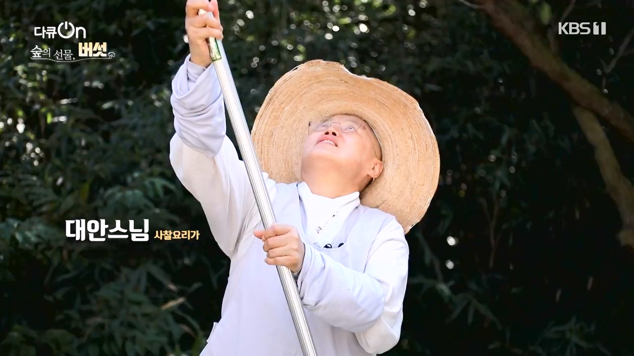 다큐 온.E227.231120p-NEXT.mp4_20231121_203659.242.jpg