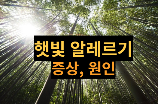 [건강정보] 햇빛 알레르기, 외출 후 피부가 가렵거나 따가울 때 의심해보세요