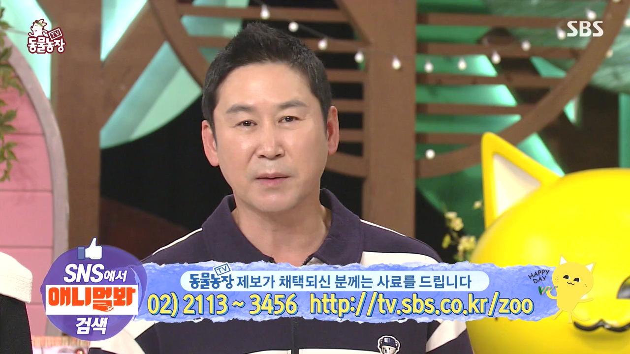 TV 동물농장.E1144.231106p-NEXT.mp4_20231105_175854.299.jpg