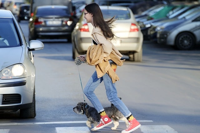 자동차 환급금 조회