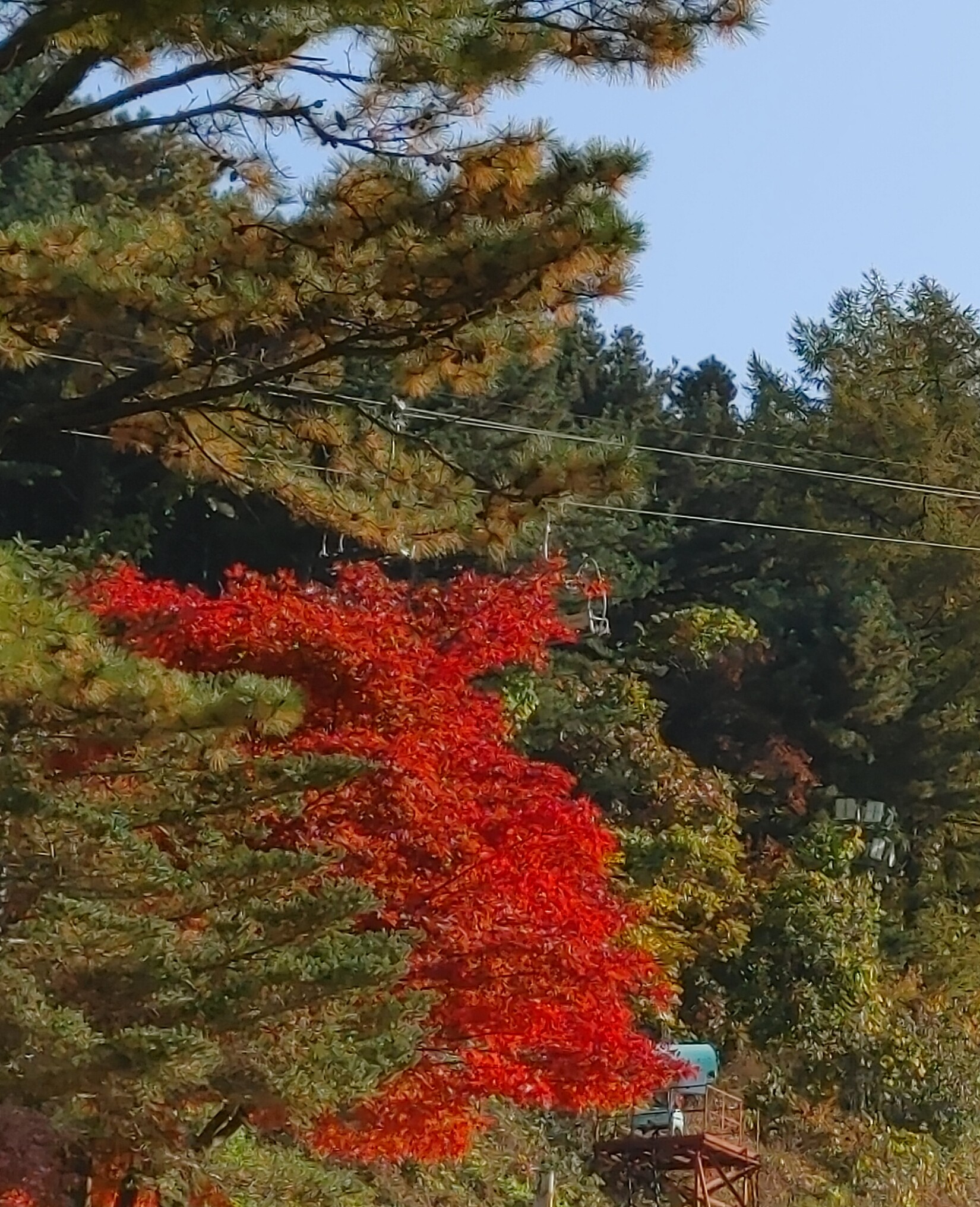 img.jpg