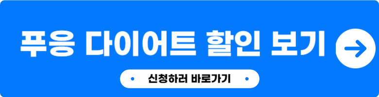 푸응 다이어트 효과 후기