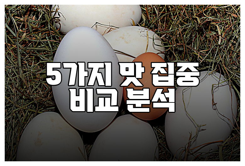5가지 맛 집중 비교 분석