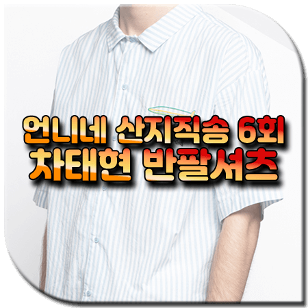 언니네 산지직송 6회 차태현 반팔셔츠