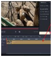 곰플레이어 사진 3