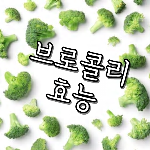  브로콜리 깨끗히 세척하고 먹자_고르는법손질법보관법/broccoli