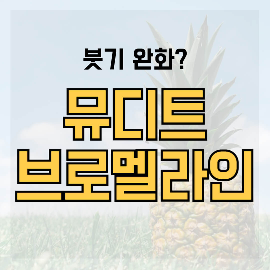 뮤디트 브로멜라인 썸네일