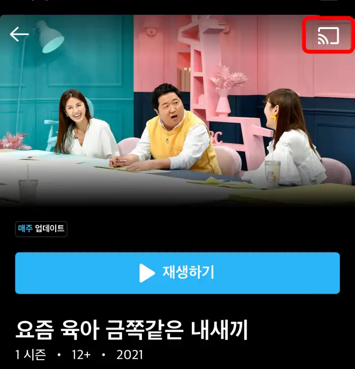 쿠팡플레이-어플실행후-시청할프로그램-선택후-오른쪽상단에-티비를-연결할-버튼-표시