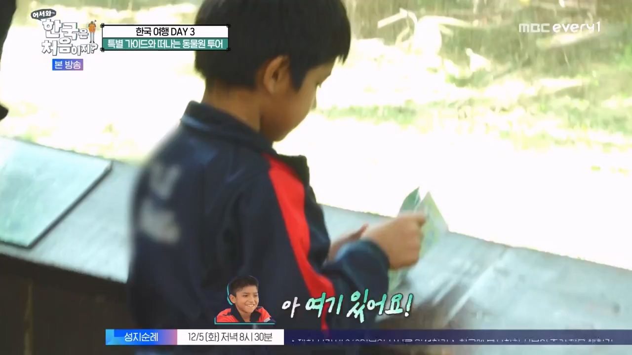 어서와 한국은 처음이지 시즌2.E291.231131p-NEXT.mp4_20231201_202426.767.jpg