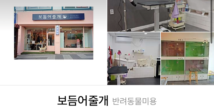 애견미용 여름맞이 애견미용 강아지 미용 천안 애견미용 [지켜주는 강아지] 천안역 14