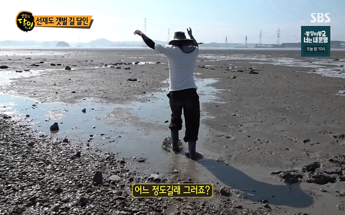 생활의 달인.E850.220705p-NEXT.mp4_20220705_202439.775.jpg