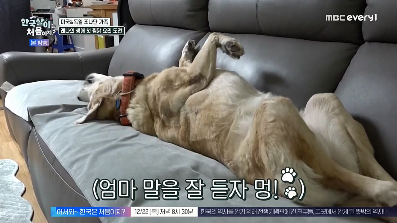 어서와 한국살이는 처음이지.E01.221221p-NEXT.mp4_20221221_202055.630.jpg