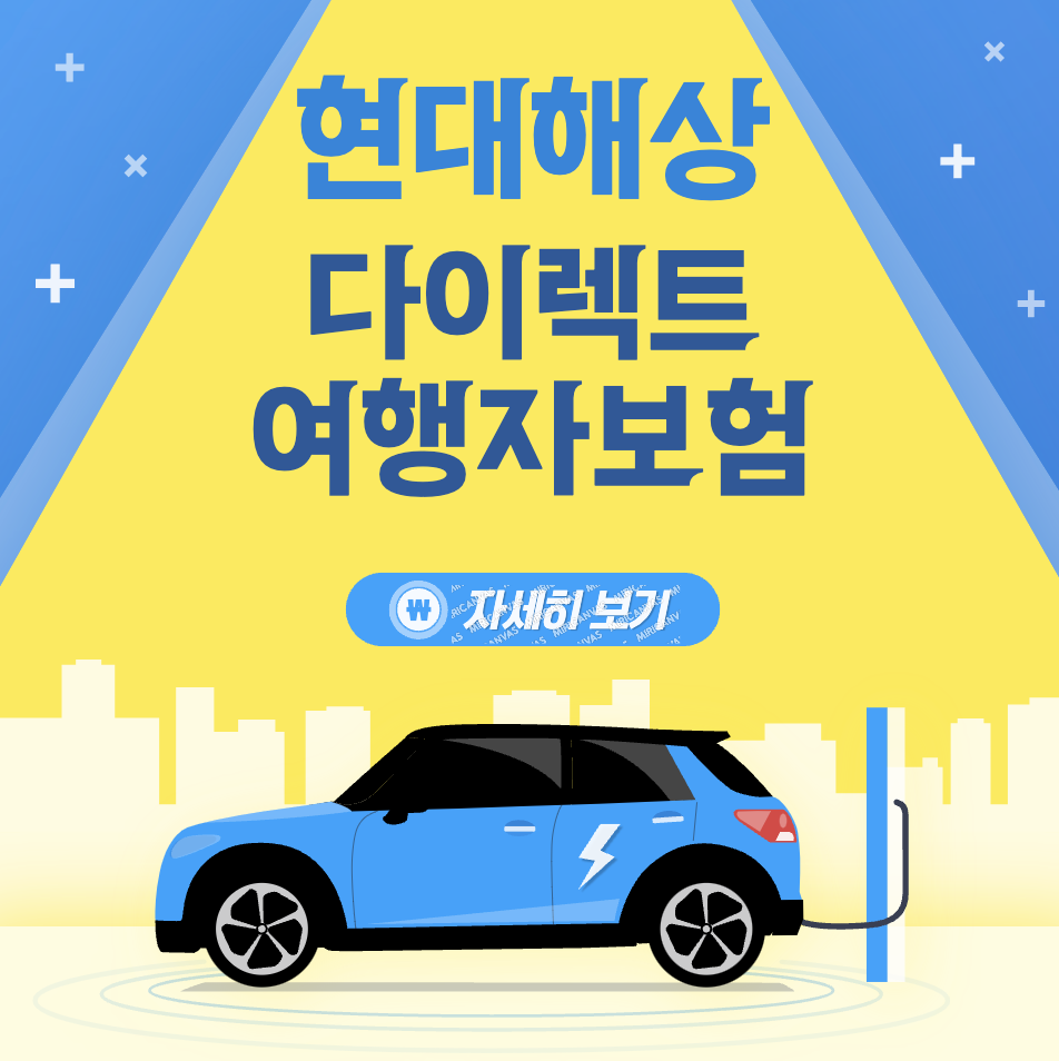 현대해상 다이렉트 해외 탐방자보험으로 안전을 고려한채로 휴이동하다녀오세요