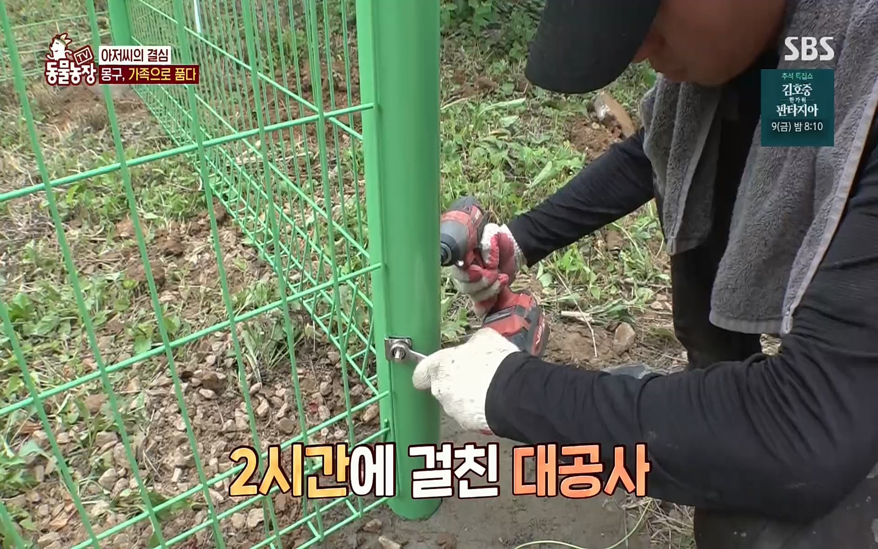 TV 동물농장.E1084.220828p.H264-F1RST.mp4_20220828_154103.993.jpg