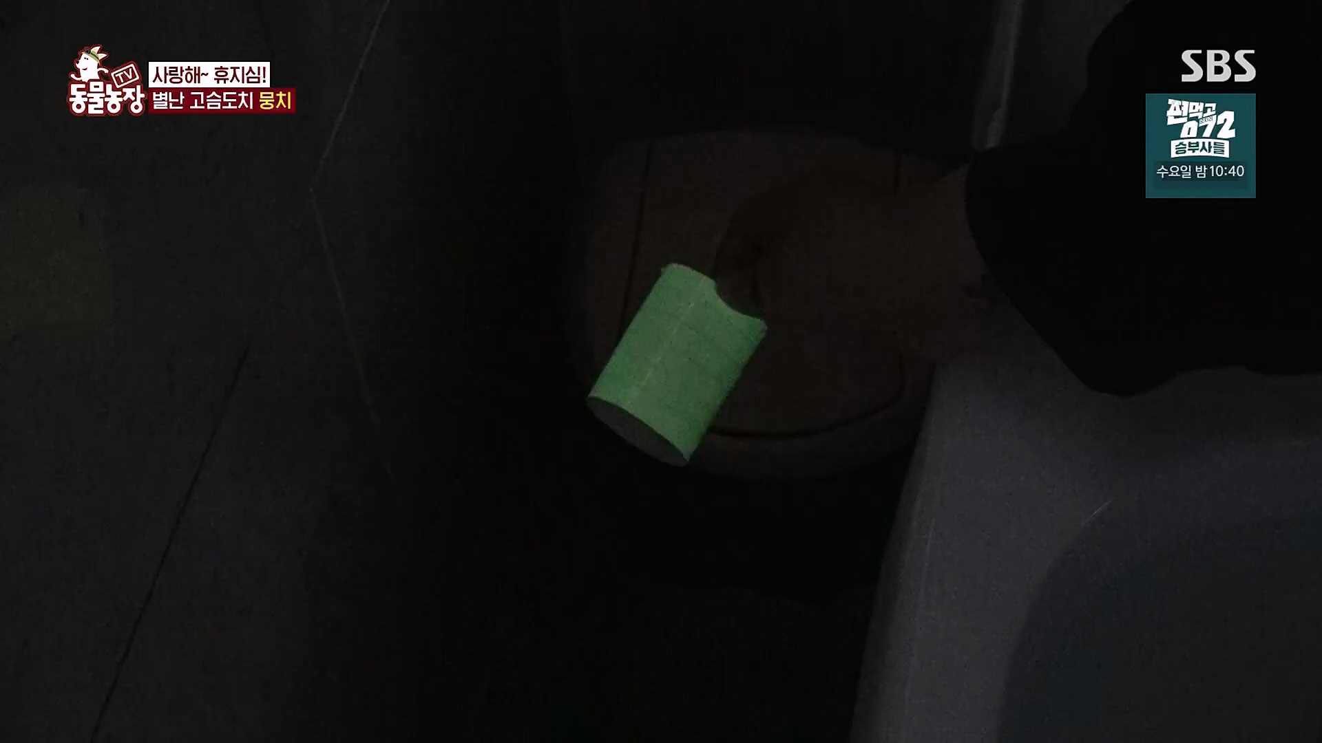 TV 동물농장.E1113.230326p.H264-F1RST.mp4_20230326_172502.728.jpg