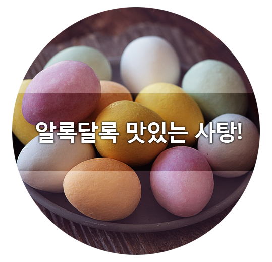  친절한포토쌤