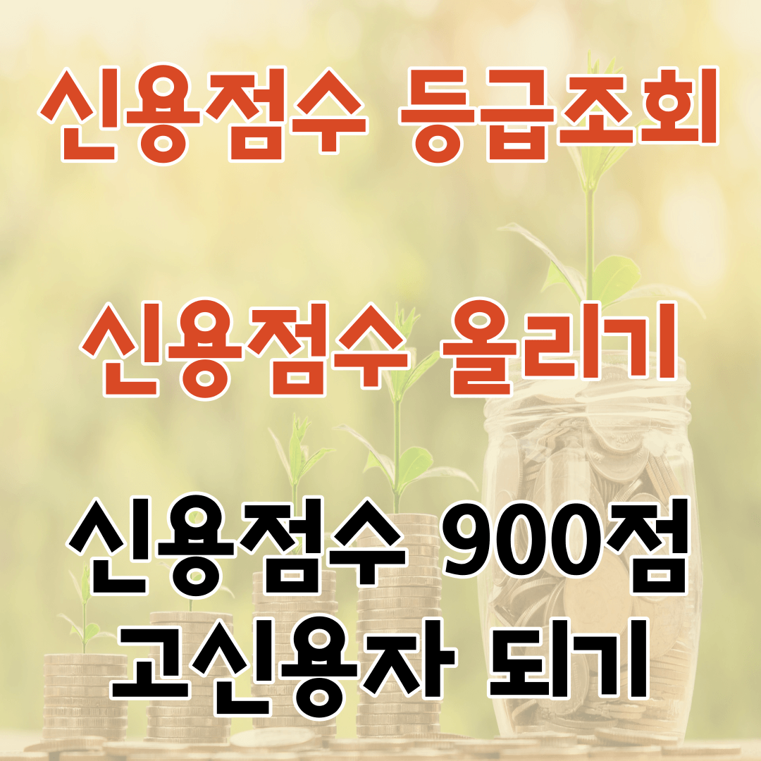 신용점수 등급 조회하고 신용점수 올리기 신용점수 900점대를 향해!