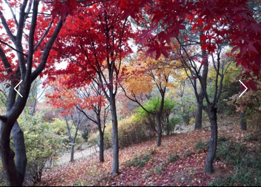 가을에 물든 북한산 흰구름 길 코스 사진