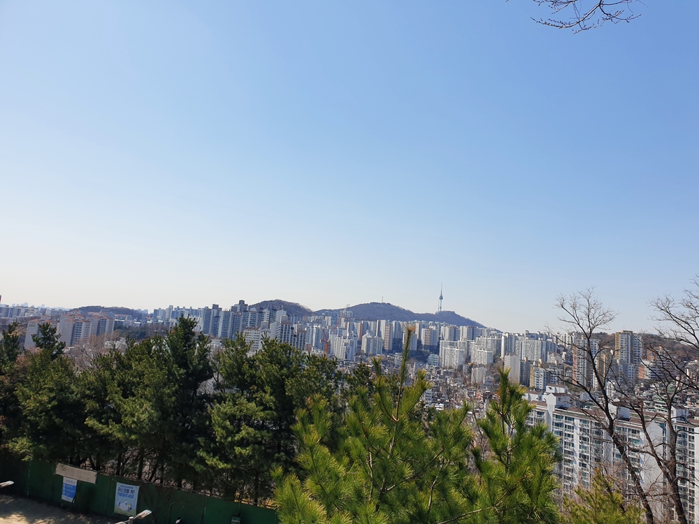 서울남산조망