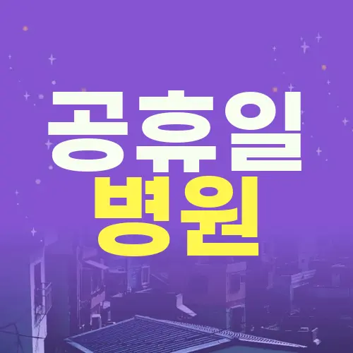 공휴일 병원