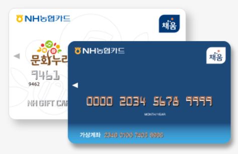  연 10만원 지원, 문화누리카드 사용처와 잔액조회 방법