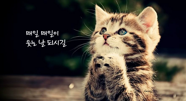 매일좋은날 이미지