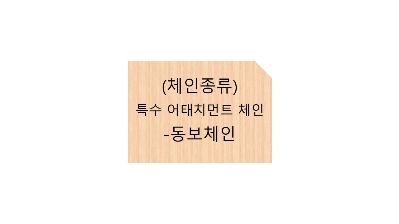  (체인종류)특수 어태치먼트 체인 - 동보체인