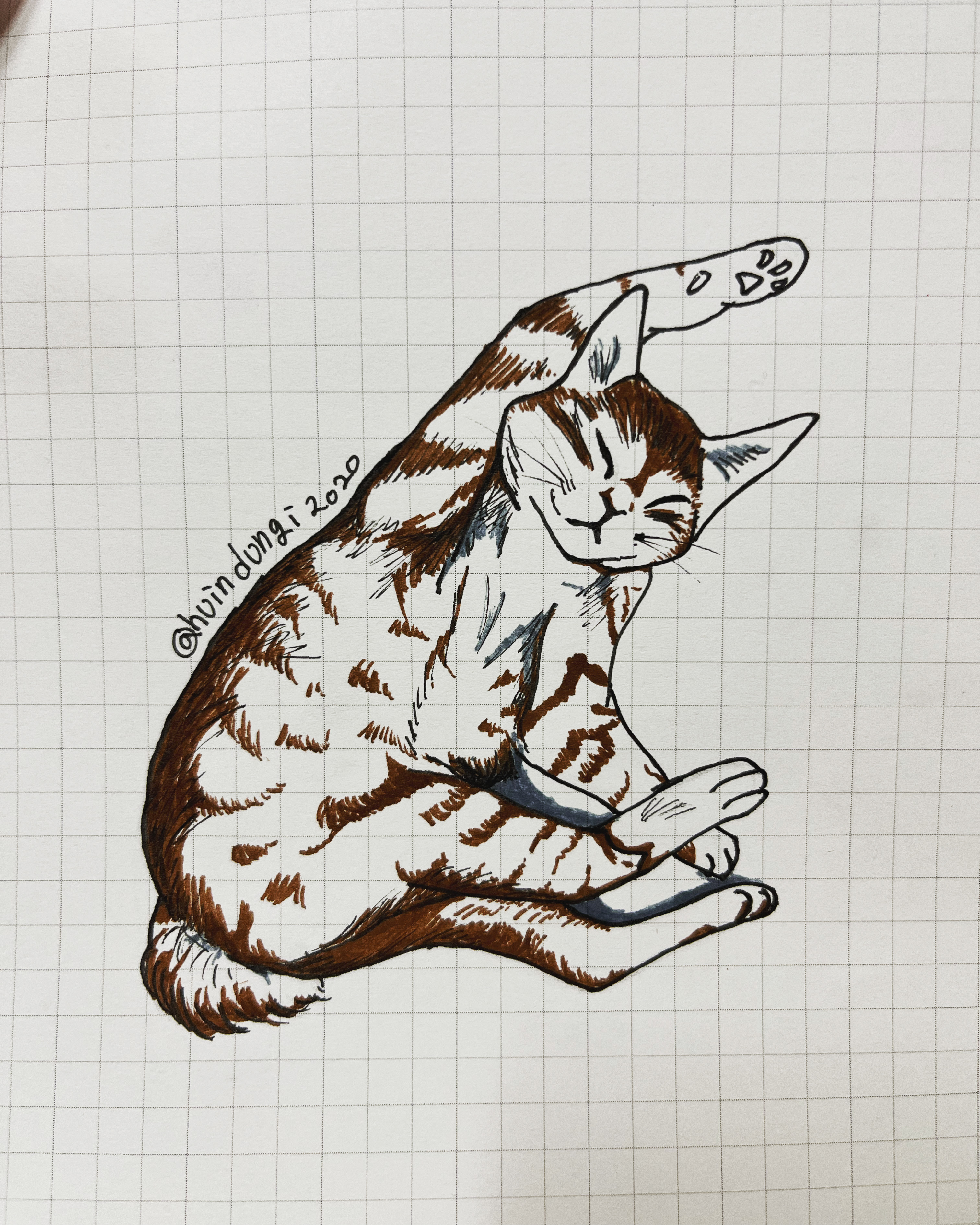  [취미생활 : 그림] 낮잠자기~ 크앙~ (고양이 그림 : 펜그림)