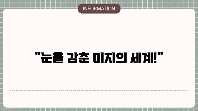 백내장지이: 