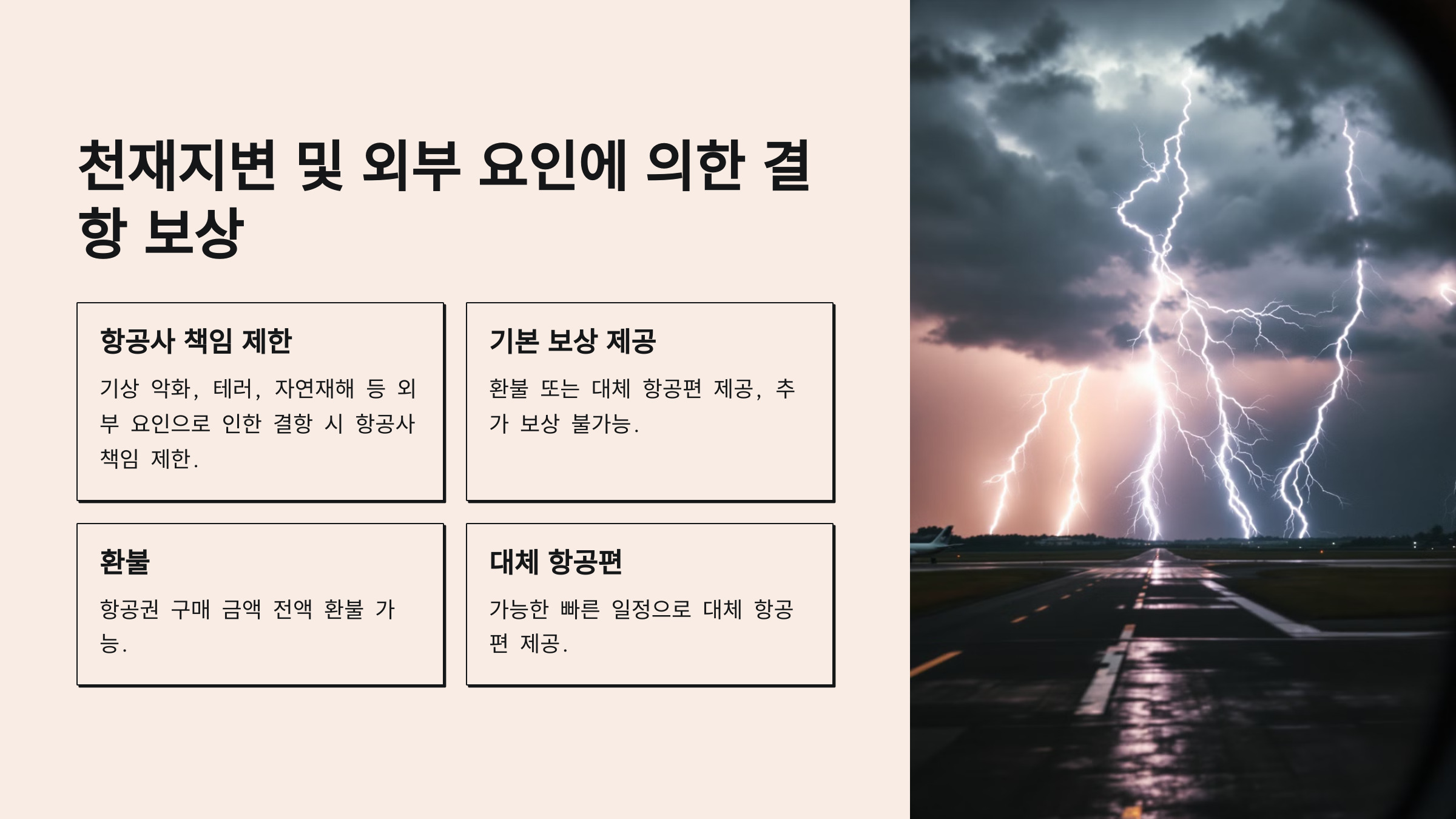 🌧️ 1.2 천재지변 및 외부 요인에 의한 결항