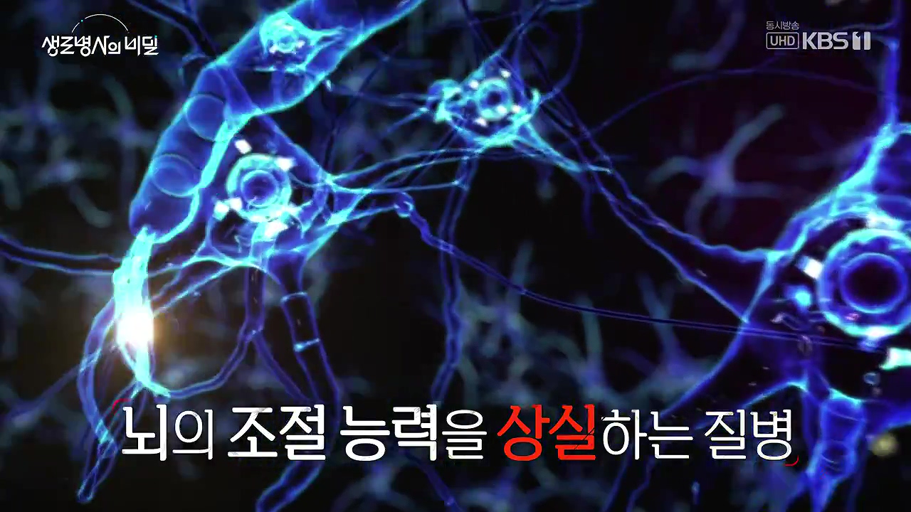 생로병사의 비밀.E917.240627p-NEXT.mp4_20240627_202930.476.jpg