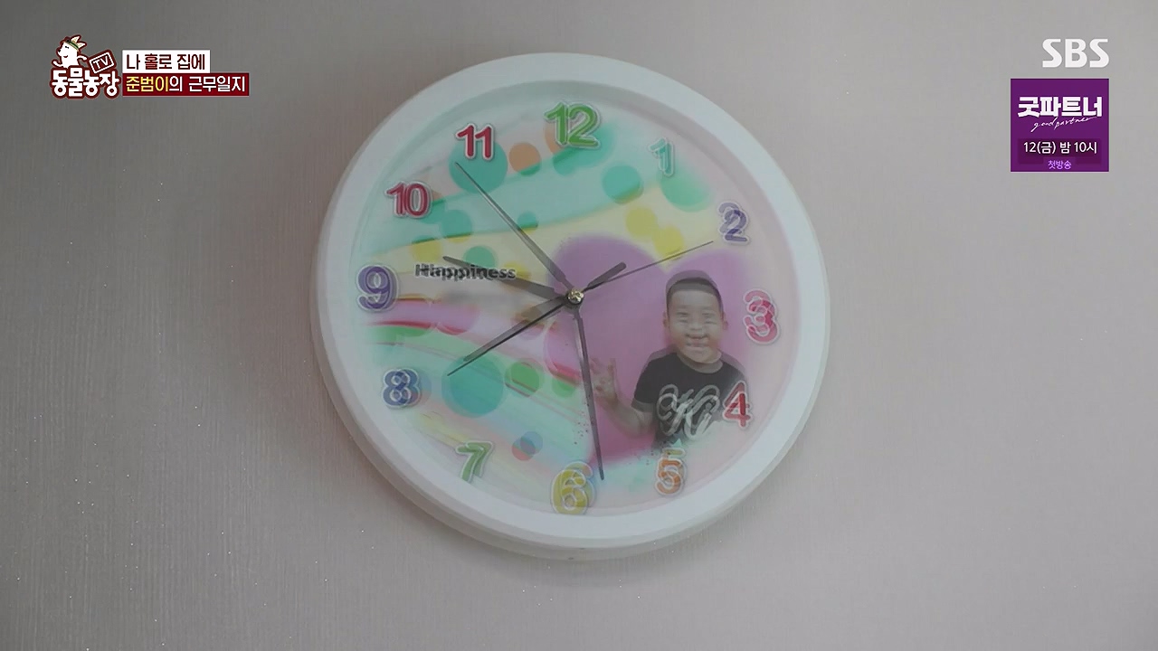 TV 동물농장.E1179.240708p-NEXT.mp4_20240707_160424.679.jpg