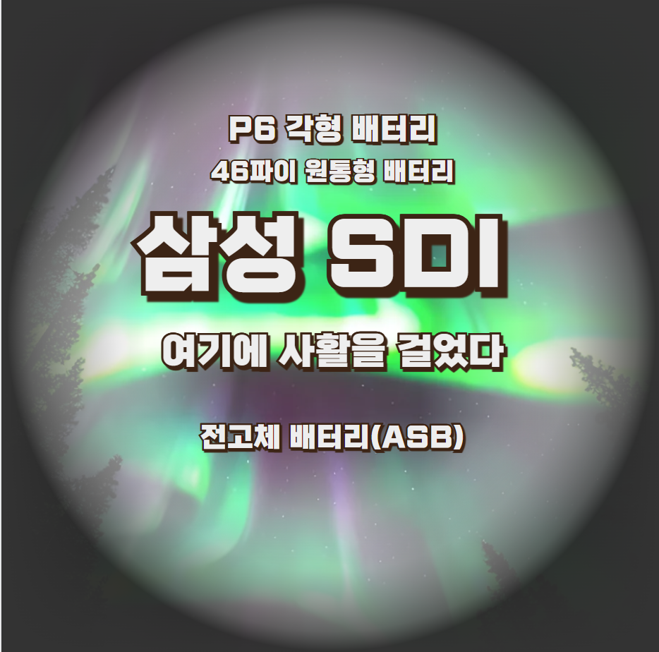 삼성 SDI, 여기에 사활을 걸었다